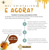 KIT Mel de Bracatinga - 1,5Kg - Pote de Vidro + Saudável ApiaSul - imagem 4