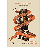 Apologética da Mamãe Ursa: Guia para Proteger Seus Filhos - imagem 1
