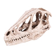 Crânio de Dinossauro em Resina - Decoração Realista para Aquário, Escritório e Ensino (12,5 x 4,0 x 6,5 cm) - imagem 1