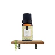 Via Aroma Essência Aromatizante Capim Limão 10ml - Aroma Cítrico Refrescante para Aromatizador Elétrico - imagem 2