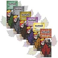 Aromatizador Radnaq: Frescor e Perfume para o Seu Dia! - imagem 1