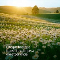 HexFresh: Finalizador Aromatizante e Higienizador Luxuoso para Estofados e Tecidos - 5L - imagem 5