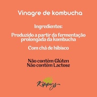 Vinagre de Kombucha Artesanal, hibisco - 300ml | Kippys Natural - imagem 3