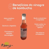 Vinagre de Kombucha Artesanal, hibisco - 300ml | Kippys Natural - imagem 5