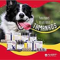 Condroplex 1000mg: Alívio e Saúde para Articulações - imagem 2
