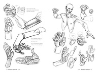 artistica-desenho-corpo-anatomia-domine-do-o-humano-esquematizado-2-a