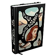 As Bruxas de Bass Rock: Um Romance Poderoso Sobre Mulheres e Resistência - imagem 1