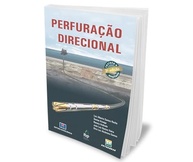 as-tecnicas-a-a-essenciais-domine-perfuracao-petroleo-do-direcional-para-industria-a