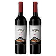 Atardecer de Los Andes Malbec 750ml – Kit com 2 garrafas - imagem 1