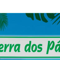 Aveia com Casca: Nutrição Pura para Aves 🐦 - imagem 1