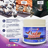 Xô Pássaros: Repelente Eficaz Contra Pombos e Aves - imagem 2