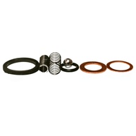 Kit Reparo Bomba Injetora Yanmar B7, B8, B9, B10, NB10, NB13, NS50, NS75, NS90, NS11, NT75, NT85, NT95 - Restaure a Potência do Seu Motor - imagem 1