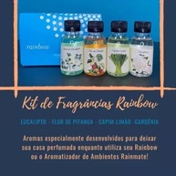 Kit Aspirador Rainbow Nacional: Purificador de Ar + Bactericida Fresh Air e Fragrâncias Premium - imagem 5