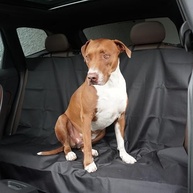 banco-universal-petcar-facil-protecao-capa-limpeza-traseiro-a-e-luxcar-protetora-a