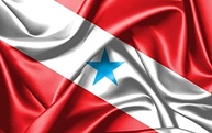 Bandeira do Pará Oxford 150x90 cm - Resistente e Vibrante para Decoração e Eventos - imagem 2