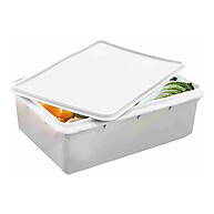 Bandeja Plástica 11L: Ideal para Açougue e Cozinha - imagem 1