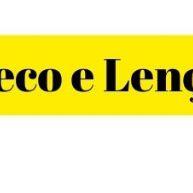 Banho a Seco Gatos: Limpeza Rápida e Pelo Brilhante! - imagem 1