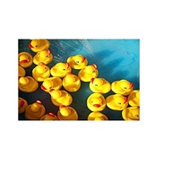 banho-colorida-para-e-toys-patinhos-zoop-diversao-de-a-segura-bebes-a