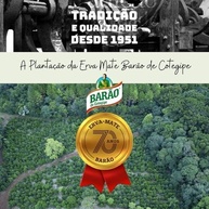 Erva para Tereré Premium Menta Ice Barão de Cotegipe 1,5 kg - imagem 2