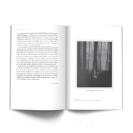 barthes-da-desvende-essencia-a-fotografia-roland-com-a-camara-a-clara-a