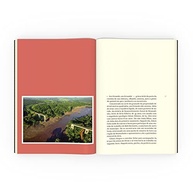 bastidores-de-do-os-da-rompimento-brumadinho-o-arrastados-barragem-a