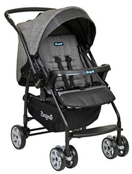 bebe-passeios-inesqueciveis-carrinho-k-conforto-seguranca-rio-e-a-burigotto-para-de-a