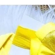 Body Temático Bela e a Fera – Conforto e Encanto para seu Bebê - imagem 1