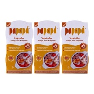 Papinha Kit 3 Unidades Sopinha Frango, Arroz e Legumes 240g - Refeição Natural para Bebês - imagem 1