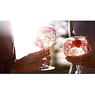 beefeater-gin-700ml-refrescante-pink-frutado-toque