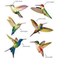 Adesivos Anticolisão para Janela - 6 Peças Beija-flor em Vinil Duplo com Design Colorido e Reutilizável - imagem 4