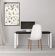 belas-superposter-exclusiva-92x60cm-arte-a-mais-nativas-do-brasil-flores-as-a