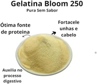 Gelatina Colageno Puro Natural Rica Em Proteina 1kg - Bellnutry Alimentos - imagem 2
