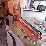Belo Desastre - Vol. 1: Aposta, Paixão e Recomeço no Mundo Universitário - imagem 3