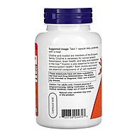 Colina e Inositol: Saúde Cerebral e Bem-Estar - imagem 2