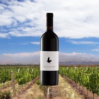 Libere di Bere Bene Vinho Tinto Italiano Liberi Di Bere Bene 750Ml - imagem 3