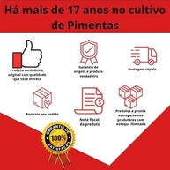 Molho De Pimenta Bhut Jolokia Original Natural Orgânico - imagem 5
