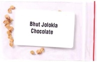 20 Sementes Bhut Jolokia Chocolate - imagem 1