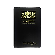 Bíblia ACF Letra Gigante: Leia e Entenda! - imagem 1