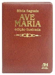 biblia-edicao-luxo-media-a-com-ilustrada-marrom-especial-classicas-pinturas-a