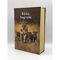Bíblia Infantil Leão Filhotes: A Palavra de Deus ao Alcance! - imagem 1