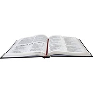 biblia-leitura-e-a-linguagem-acessivel-sagrada-nova-clara-de-traducao-ntlh-hoje-a