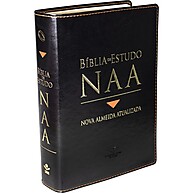 Bíblia NAA: Estudo Profundo e Atualizado - imagem 1