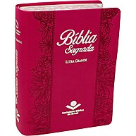 Bíblia NAA Letra Grande: Leitura Clara e Inspiradora - imagem 1