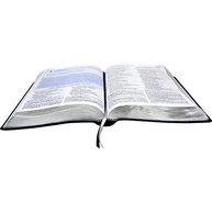 biblia-naa-sbb-a-do-couro-de-preta-nobre-sintetico-estudo-discipulado-a