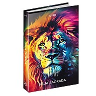 Bíblia NVI: Clareza e Fidelidade ao Texto Original - imagem 1