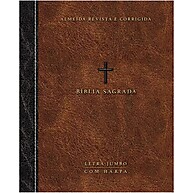 Bíblia Sagrada Jumbo ARC: Leia e Sinta a Palavra - imagem 1
