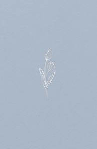 biblia-sua-diaria-tulipa-azul-a-companheira-nvi-economica-espiritual-a