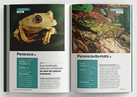 biblioteca-livros-a-mundo-com-do-3-essenciais-animais-box-a