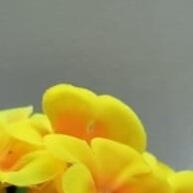 Bicicleta Cestinha Violeta: Decoração Charmosa - imagem 1