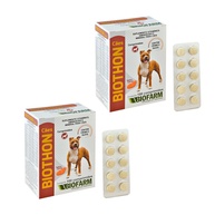 Biothon Cães: Suplemento Vitamínico Essencial - imagem 1